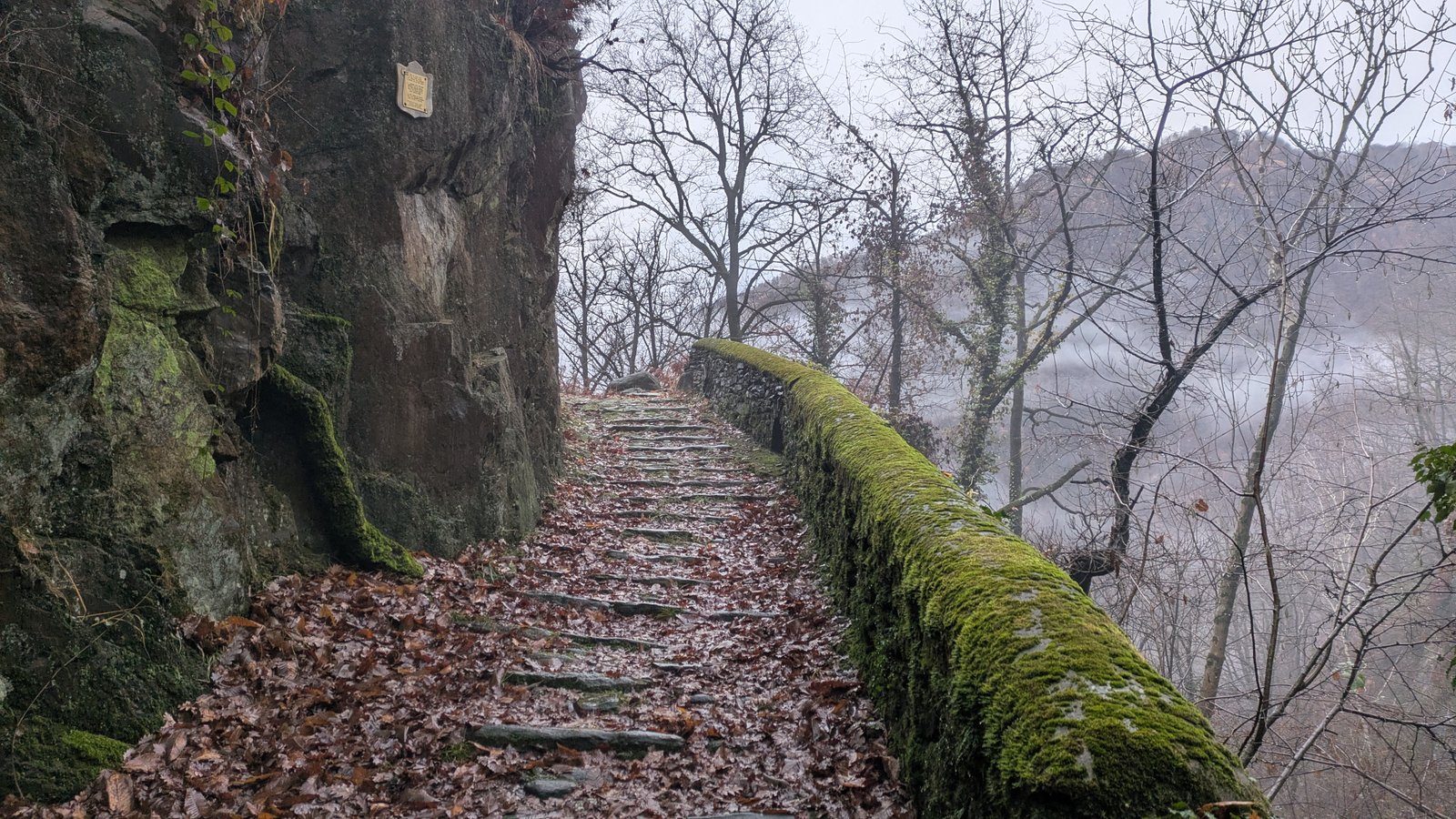 PXL_20251218_073906714