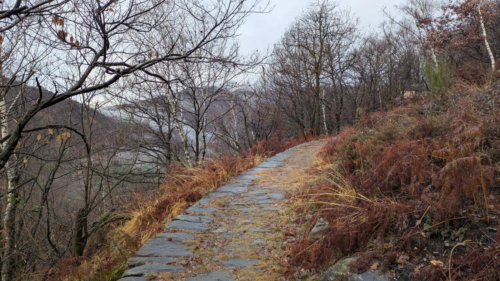 PXL_20251218_074834387