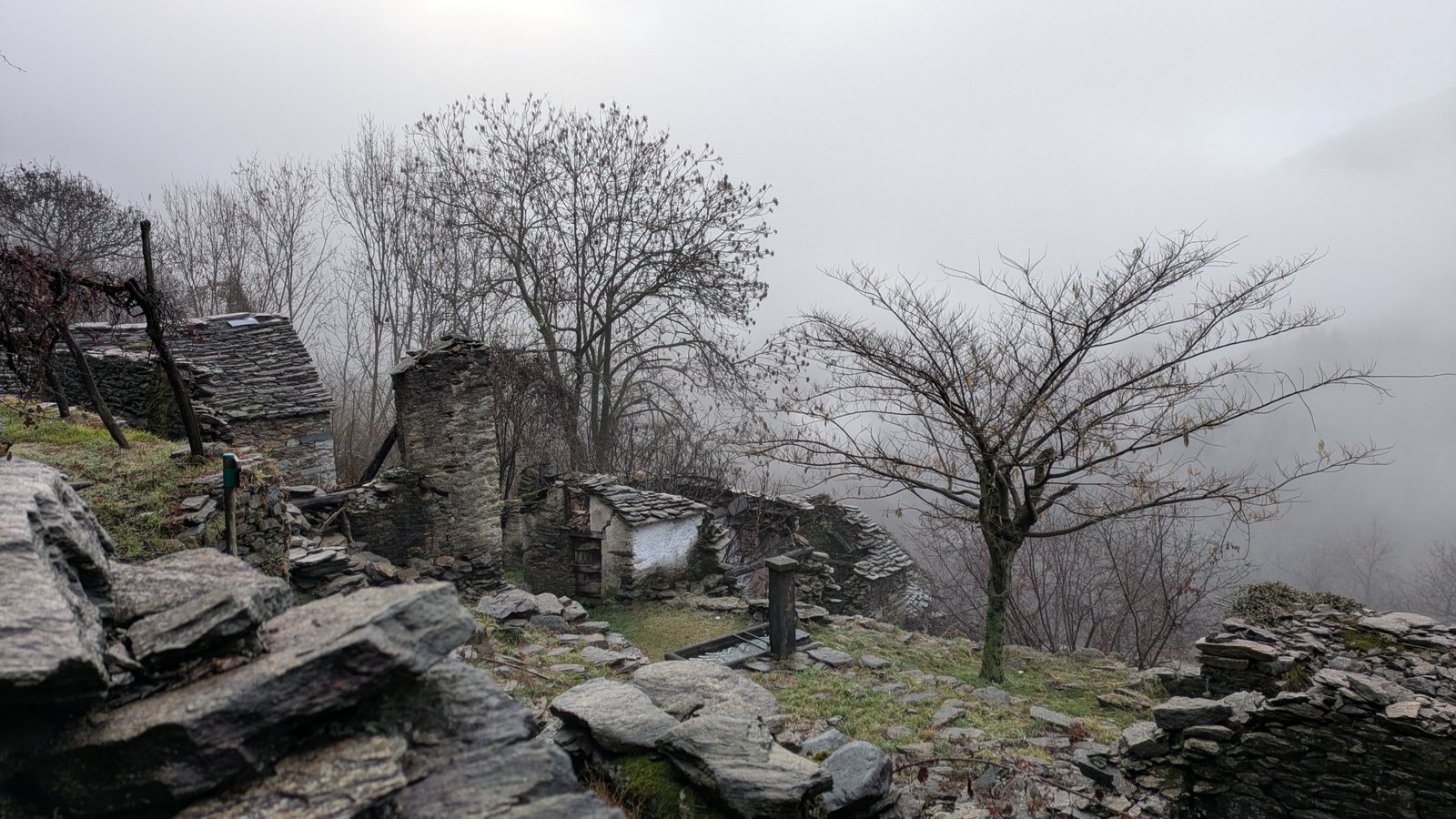 PXL_20251218_081630309