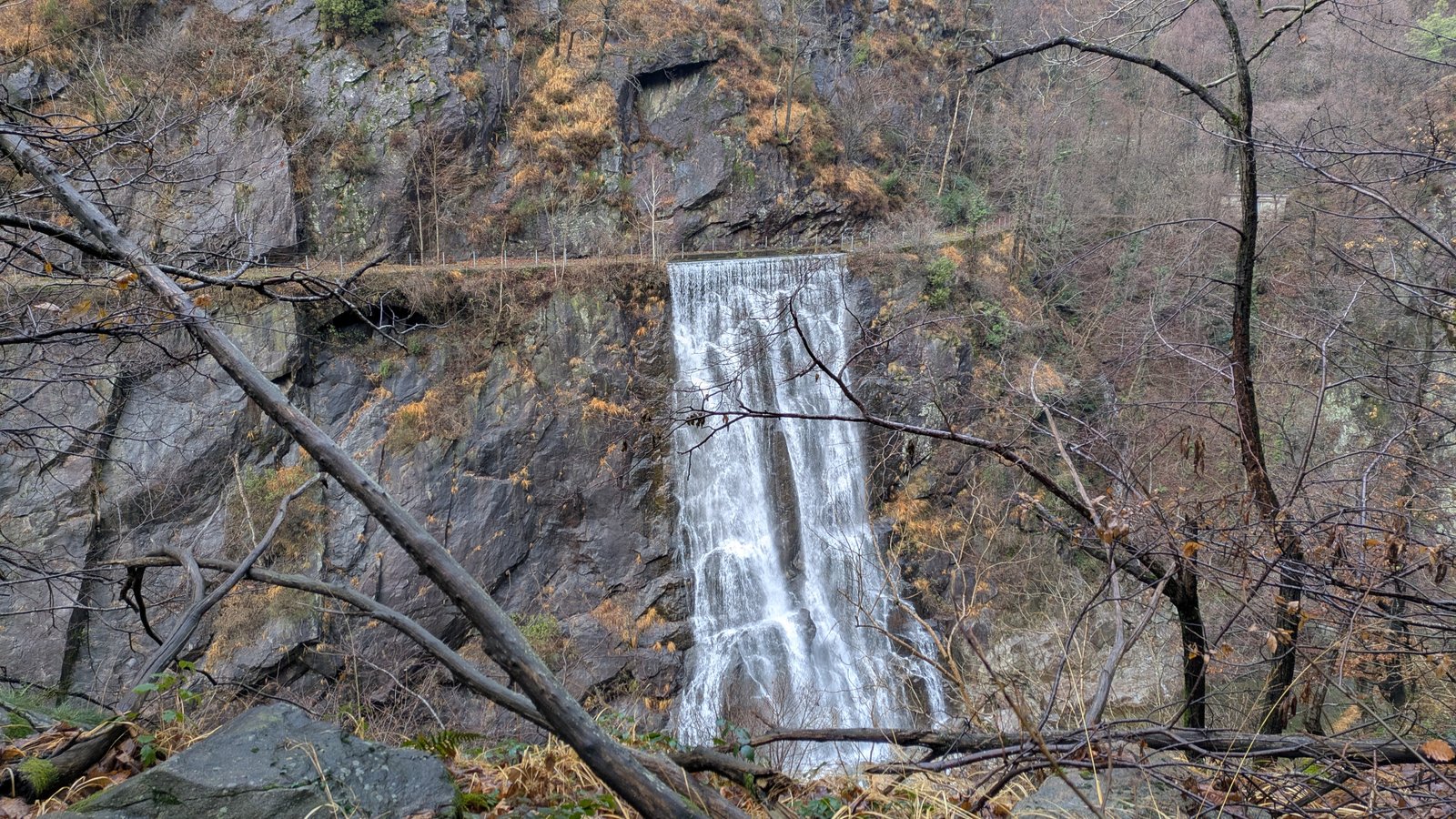 PXL_20251218_094638905