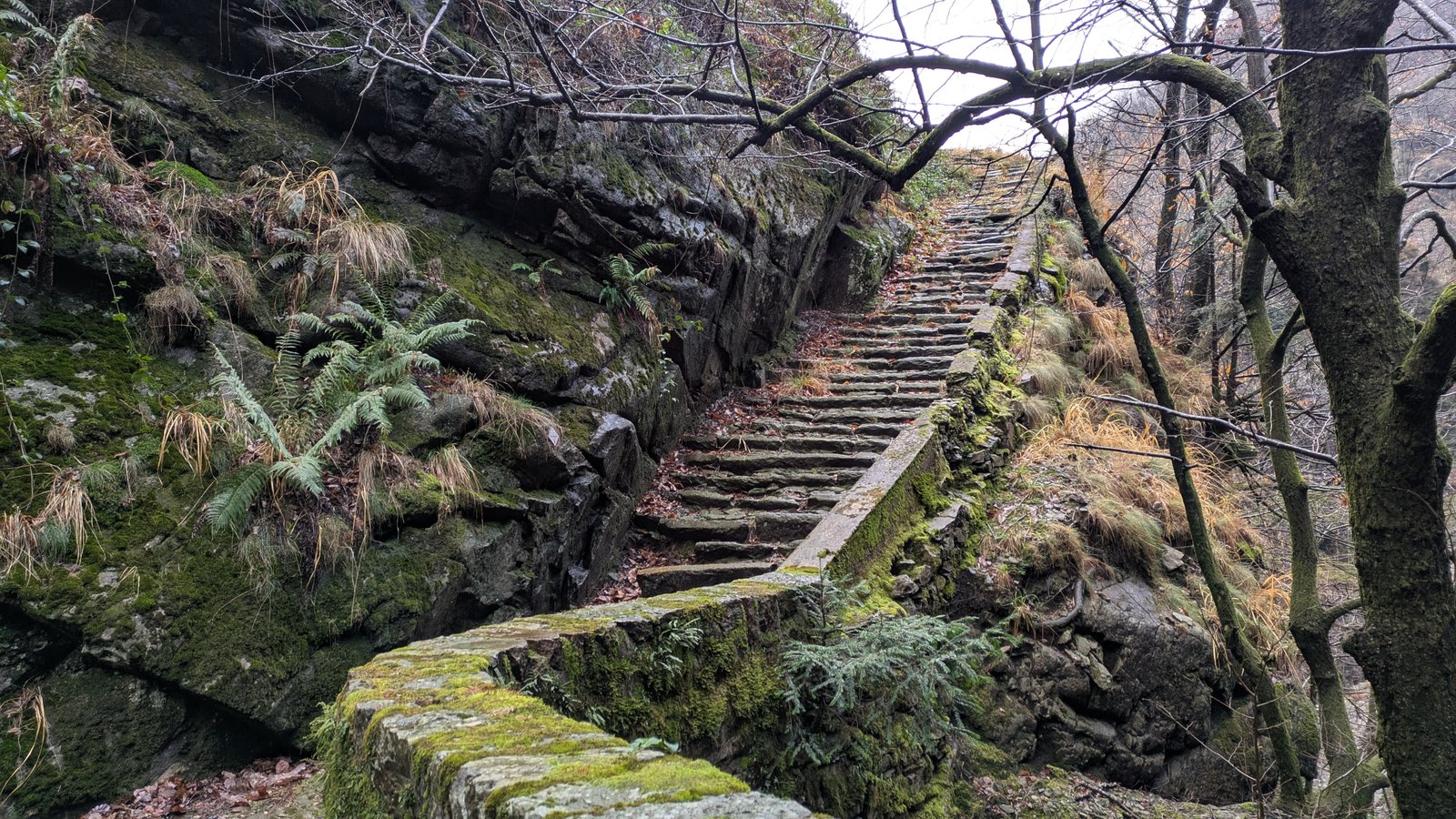 PXL_20251218_095233375