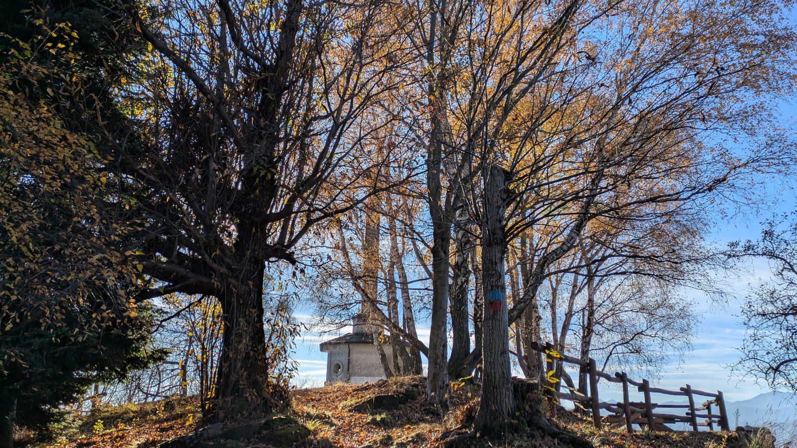 PXL_20251104_135038375