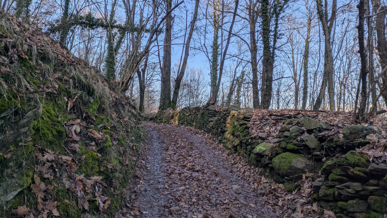 PXL_20260121_122556700