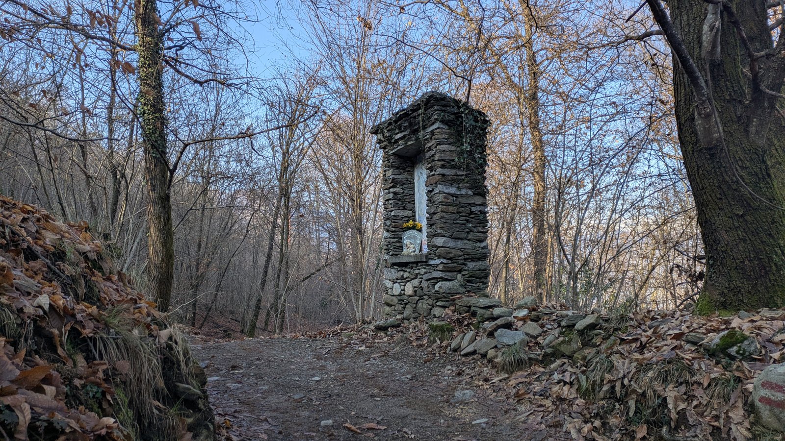 PXL_20260121_123248253