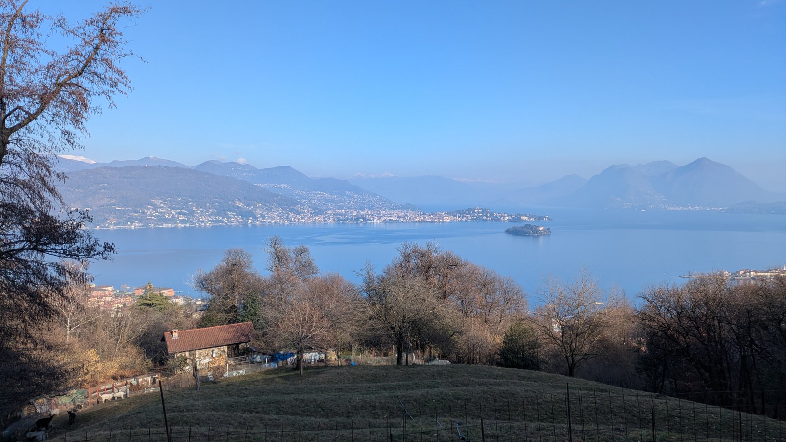 PXL_20260121_124943247