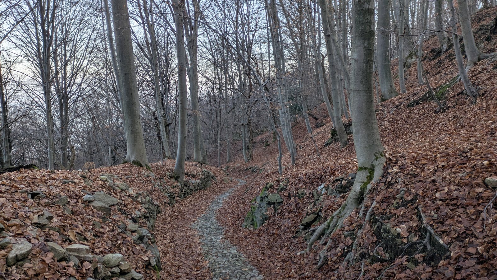 PXL_20260121_145310447