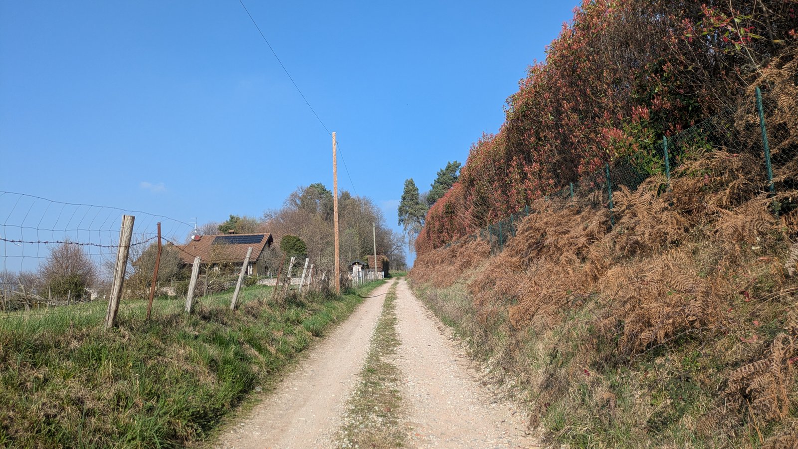 PXL_20260312_142120366