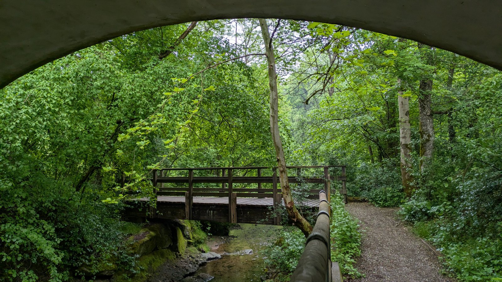 PXL_20260429_075326349