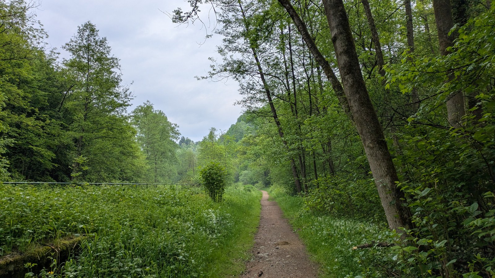 PXL_20260429_081354955