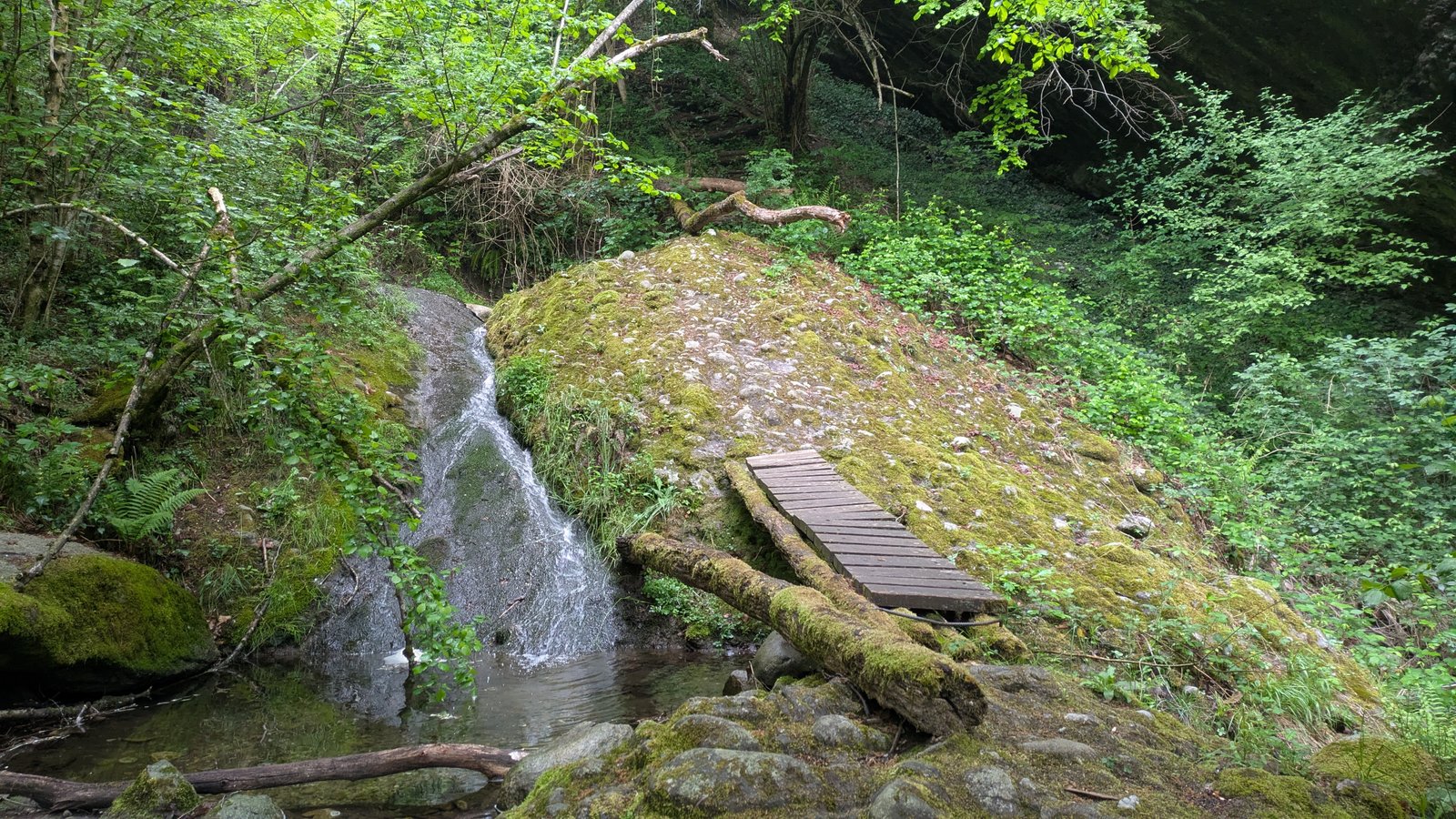 PXL_20260429_081836331