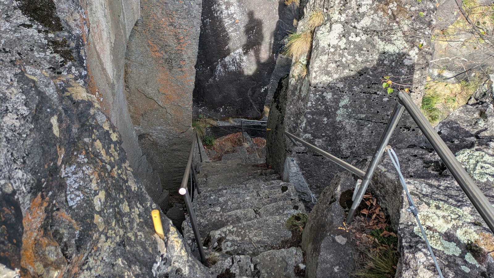 PXL_20260924_083712484
